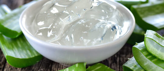 Aloe Vera
